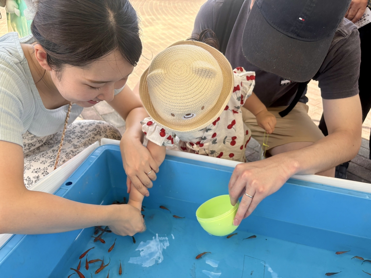 ひんやり縁日