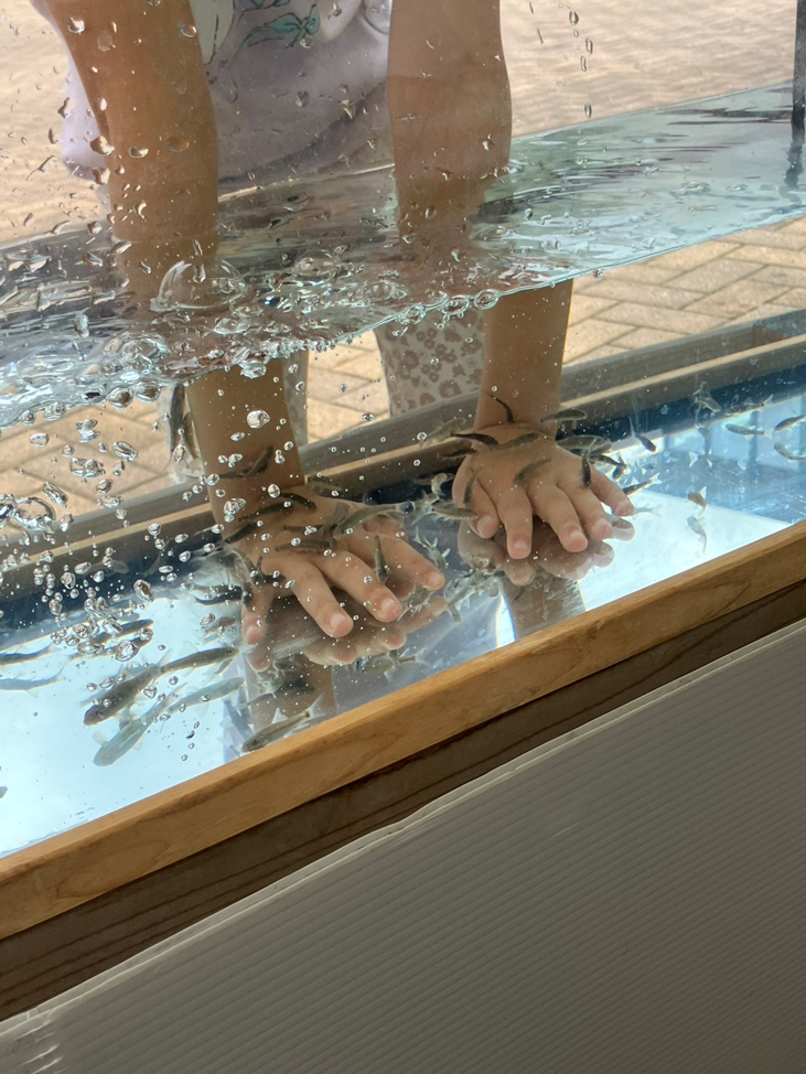 ふれあいアクアパーク