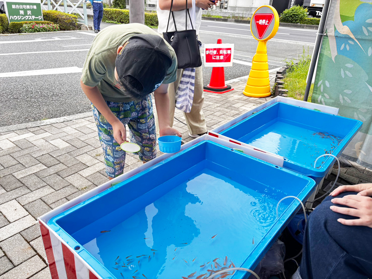 金魚めだかすくい