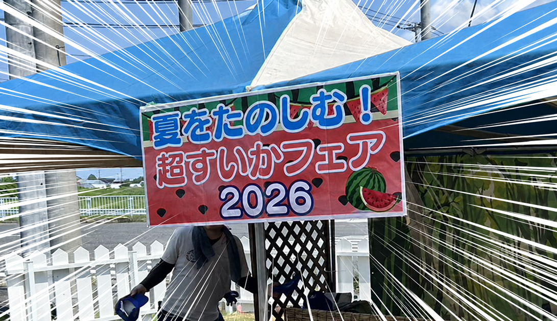 イベント紹介【夏を楽しむ！超すいかフェア🍉】
